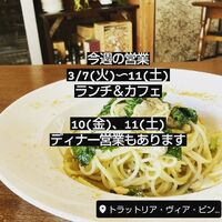 画像242