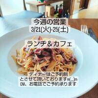 画像251