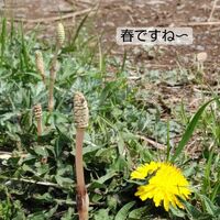 画像257