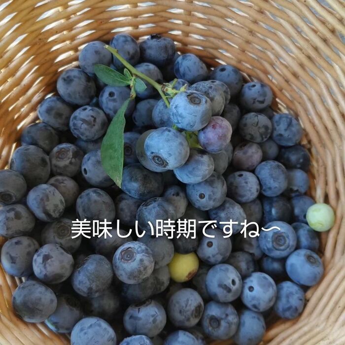 画像306