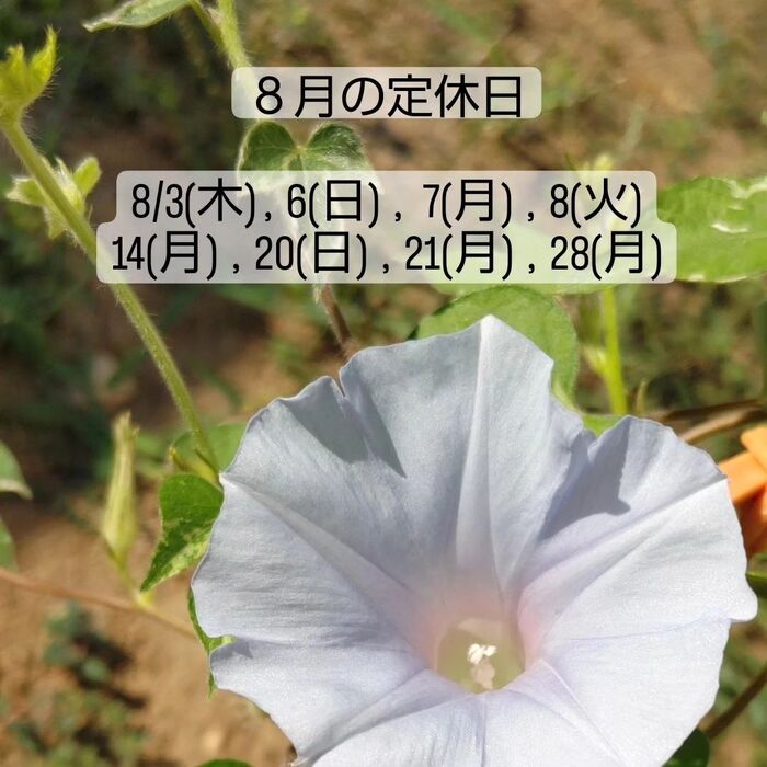 画像315