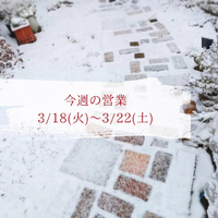 画像406