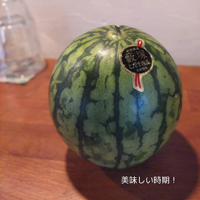 画像408