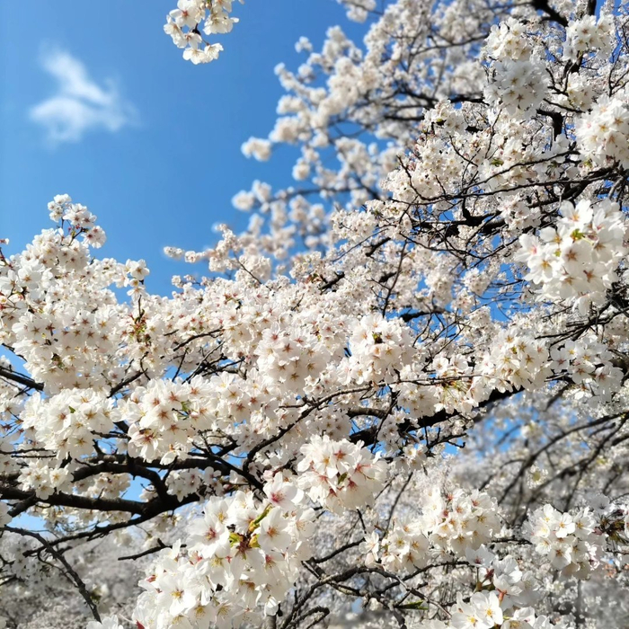 画像411