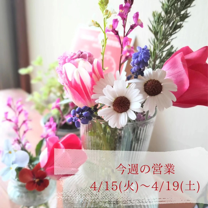 画像413